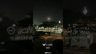 وما خلقنا السماء والأرض وما بينهما باطلا | تصميم جديد | القارئ : رمضان وائل | ما تيسر من سورة ص.