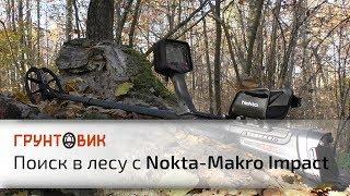 Nokta|Makro Impact Pro | Поиск в лесу