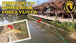 FishVlog #77 Toms Creek Forel vijver.