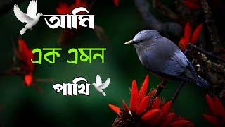 আমি এক এমন পাখি বুকেতে কষ্ট রাখি #আমি_এক_এমন_পাখি_বুকেতে_কষ্ট...