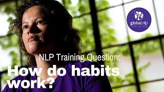 How Do Habits Work Specifically? | NLP Training Miami Series