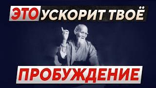 Делай Это Каждый День и Измени Свою Жизнь! Самый надежный путь к себе настоящему. РАЗБОРЫ ИЗ ПОТОКА.