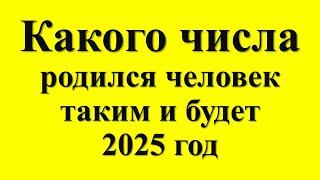 Какого числа от 1 до 31, родился человек, такой и будет 2025 год. Что ждать каждому от года Змеи