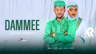 Kadir Ahmed *Dammee*New Ethiopian Oromo Music  2023 (official Video)