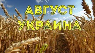 ⁉️Август Украина. Таро расклад что ждет Украину в августе 2024