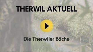 Die Therwiler Bäche