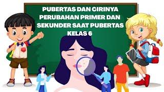 CIRI PUBERTAS PADA ANAK LAKI LAKI DAN PEREMPUAN