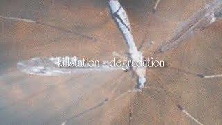 killstation - degradation / Перевод / Rus Subs