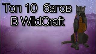 Топ 10 багов в WildCraft!