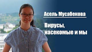 Асель Мусабекова | Вирусы, насекомые и мы