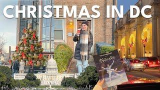 WEIHNACHTEN IN WASHINGTON DC 🩰 Nussknacker-Ballett, Weihnachtsmarkt, Zoolichter und mehr! | Charl...