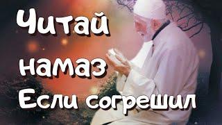 Читай намаз если согрешил / Хадис Ат - Тирмизи /Напоминание братья и сёстры