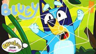 Adventures with Bluey | CBeebies