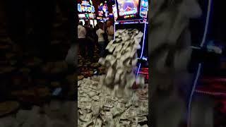 словил джекпот в казино Сочи #бонус