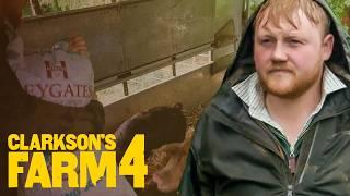 Clarkson's Farm Season 4 First Look: Kaleb Gets Attacked By Pigs