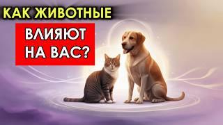 Домашние животные: Психологические и Эзотерические Тайны, О которых Вы Не Знали