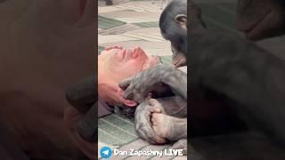 Насколько Опасно Позволять Обезьяне Делать Это?