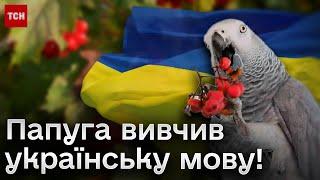  Папуга після окупації вивчив українську і знає, куди відправити Росію