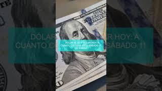  Dólar blue y dólar hoy: a cuánto cotizan este sábado 11 de enero