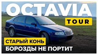 Старый конь, борозды не портит - Skoda Octavia Tour 1.9 TDI