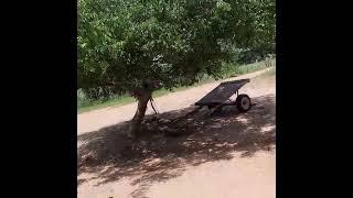 https://youtu.be/7RW0aunfBag MOSTRANDO POUQUINHO DA NOSSA NATUREZA LINDA DO NOSSO SERTÃO