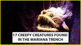 17 Creepy Creatures Who Live In The Mariana Trench | UNKNOWN FACTS