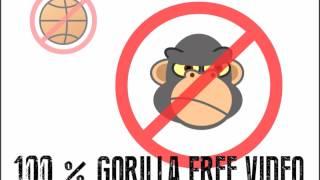 Test of Divided Attention - Two Visual Stimuli - 100% gorillafree