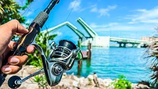 Fishing the Pass With Live Bait