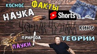 Новые идеи на канале Чердак Чудака!