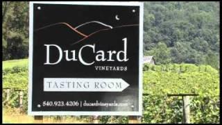 Virginia Wine Lover - DuCard Vineyards
