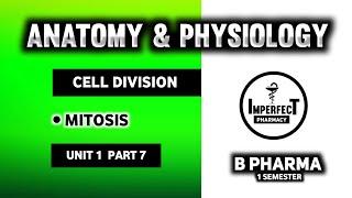 Cell Division | Mitosis | Somatic Cell Division | Human Anatomy And Physiology | HAP | B Pharma