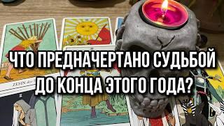 ЧТО ПРЕДНАЧЕРТАНО СУДЬБОЙ ДО КОНЦА ЭТОГО ГОДА⁉️ гадание на таро Tarot Reading