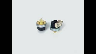 LF25 Steam Pressure Switch-LEFOO