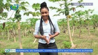 STV - AGRI Mag - (CULTURE DE LA PAPAYE) - Mercredi 20 Mars 2019 - Présentation : Claude ELLA