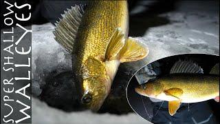 "MUST KNOW TIPS"  for Ice Fishing FINICKY Walleyes!