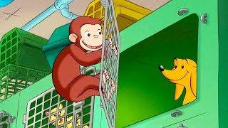 Curious George Free Hundley Kids CartoonKids MoviesVideos for Kids