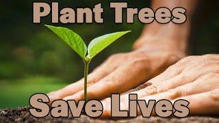 How You Can Improve Lives by Planting Trees | The Eden Reforestation Projects