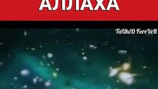 Бехтарин суханхо