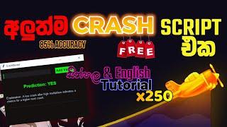 Crash Game New Script 2024 DEC | අලුත්ම හැක් එක | 1xbet Crash script | TheRegularGuy