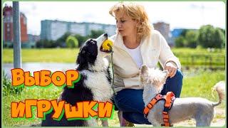 Как выбрать игрушку для игры с собакой. Обзор игрушек фирмы FOFOS