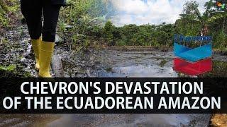 Chevron's Devastation of the Ecuadorean Amazon