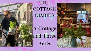 Bealtaine Cottage ~ A Cottage and Three Acres