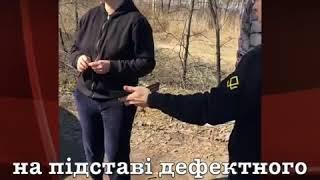 Дух Нації рятує ліс