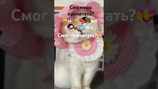 Сможешь прочитать? #kattn #хочуактива #хочуврек #р_е_к_о_м_е_н_д_а_ц_и_и_ #япопулярити #подпишись