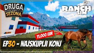 NAJSKUPLJI KONJ KUPLJEN, 11.000 EURA! *Ranch Simulator*