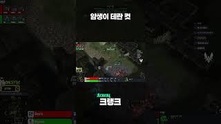 얌생이 컷 #스타 #스타2 #게임 #크랭크