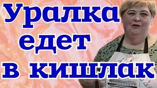 Ольга Уралочка live /Уралочка едет в кишлак/Обзор Влогов /Уралочка и Сафар /