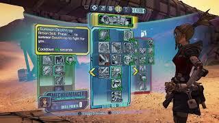 My Lvl 80 Lawful Gaige Build (Non OP lvls)| Borderlands 2