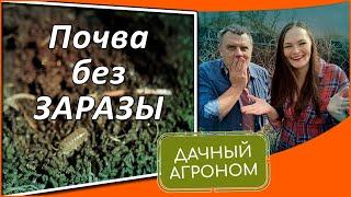 Осторожно! Обеззараживание почвы осенью! Как обеззаразить почву без проблем