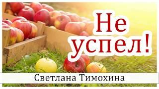 Не успел"  - христианский рассказ сборника "Секрет Радости". Светлана Тимохина.